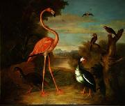Jakob Bogdani Flamingo and Other Birds in a Landscape Spain oil painting artist